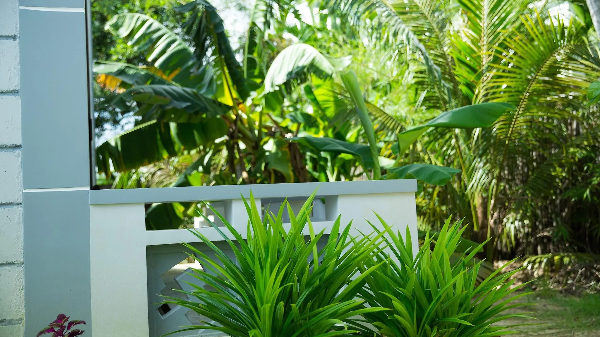 Mr Tho Garden Villas Hoi An Vietnam