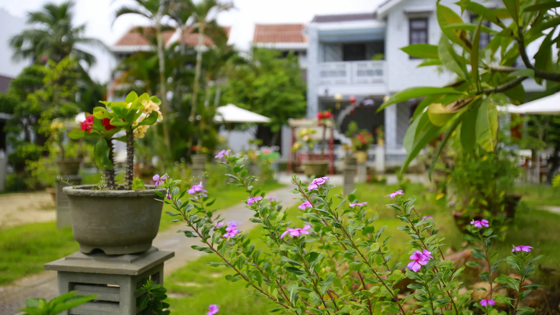 Mr Tho Garden Villas Hoi An
